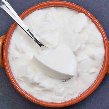 Plain Dahi